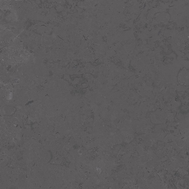 фото DD640800R Про Лаймстоун серый темный натуральный обрезной 60х60 керамогранит КЕРАМА МАРАЦЦИ