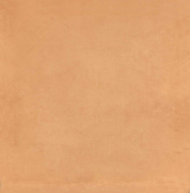 фото 5238 N (1,04м 26пл) Капри оранжевый 20*20 керамическая плитка КЕРАМА МАРАЦЦИ